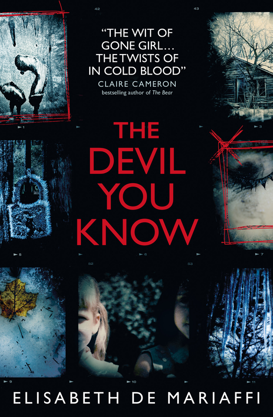 Бумажная книга «The Devil You Know», автор Элизабет де Мариаффи - фото №1