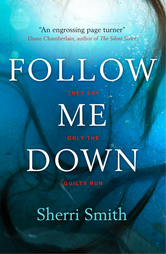Бумажная книга «Follow Me Down», автор Шерри Смит - фото №1