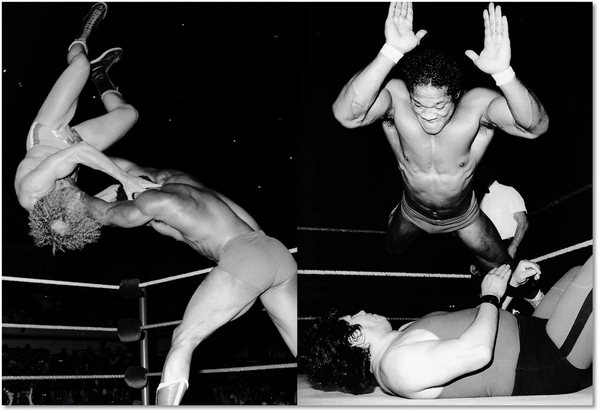 Бумажная книга «Exquisite Mayhem - The Spectacular and Erotic World of Wrestling», авторов Тео Эрет, Майк Келлей, Кэмерон Джейми - фото №1