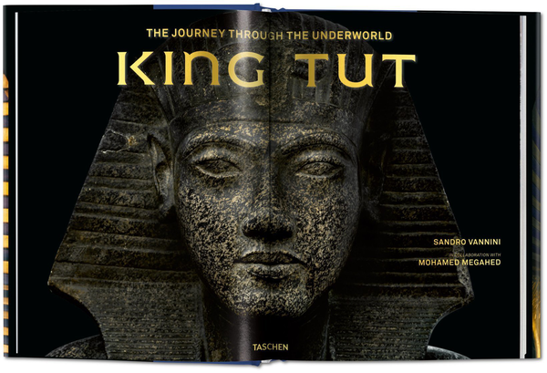 Бумажная книга «King Tut. The Journey Through the Underworld», автор Сандро Ваннини - фото №1