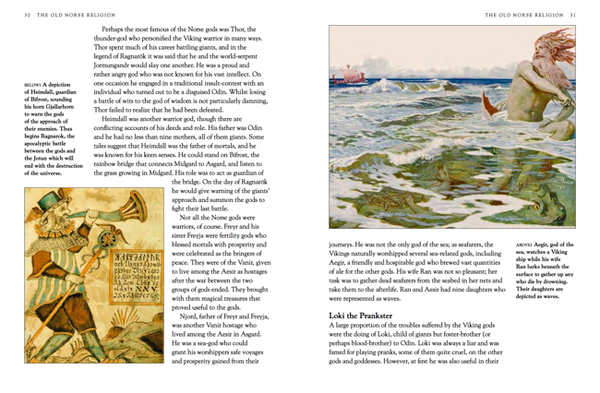 Паперова книга «Vikings. A History of the Norse People », автор Мартін Догерті - фото №1