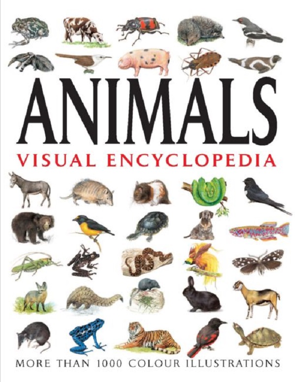 Паперова книга «Visual Encyclopedia of Animals», автор Том Джексон - фото №1