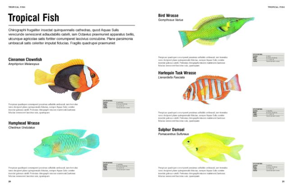 Паперова книга «Visual Encyclopedia of Animals», автор Том Джексон - фото №1
