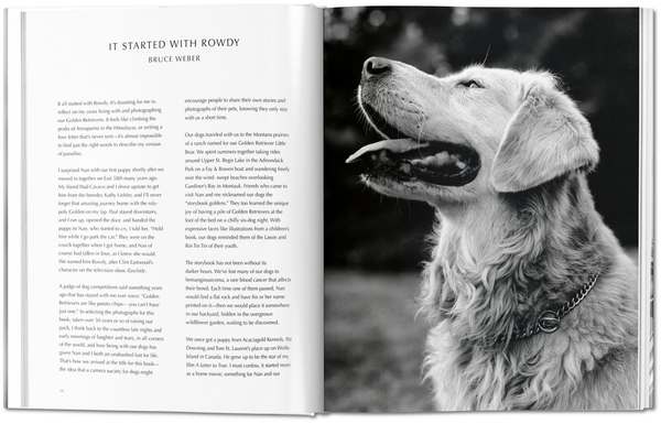 Книга «Bruce Weber. The Golden Retriever Photographic Society