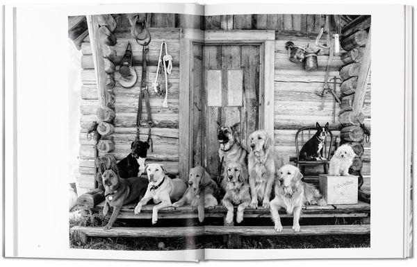 Книга «Bruce Weber. The Golden Retriever Photographic Society