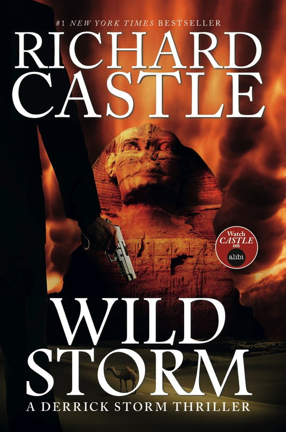 Бумажная книга «Wild Storm. Book 2 (Castle)», автор Ричард Касл - фото №1
