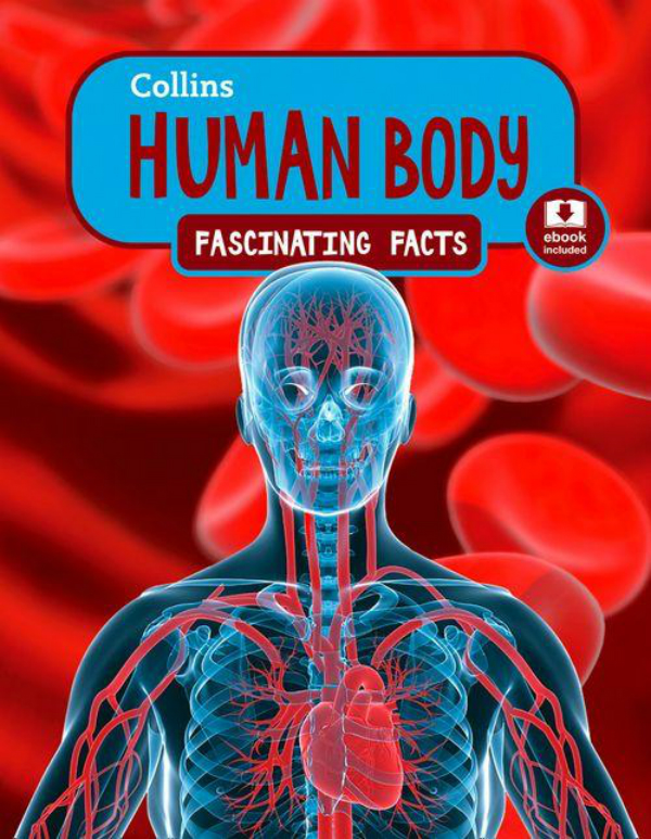 Паперова книга «Fascinating Facts: Human Body» - фото №1