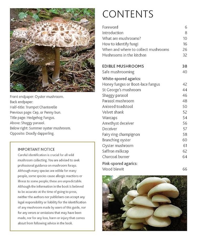 [object Object] «The Mushroom Guide & Identifer: An expert manual for identifying, picking and using edible wild mushrooms found in the British Isles», автор Невілл Кілкенні - фото №2 - мініатюра