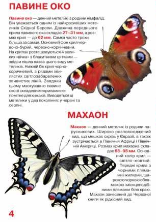 Велика книжка. Метелики — фото 3