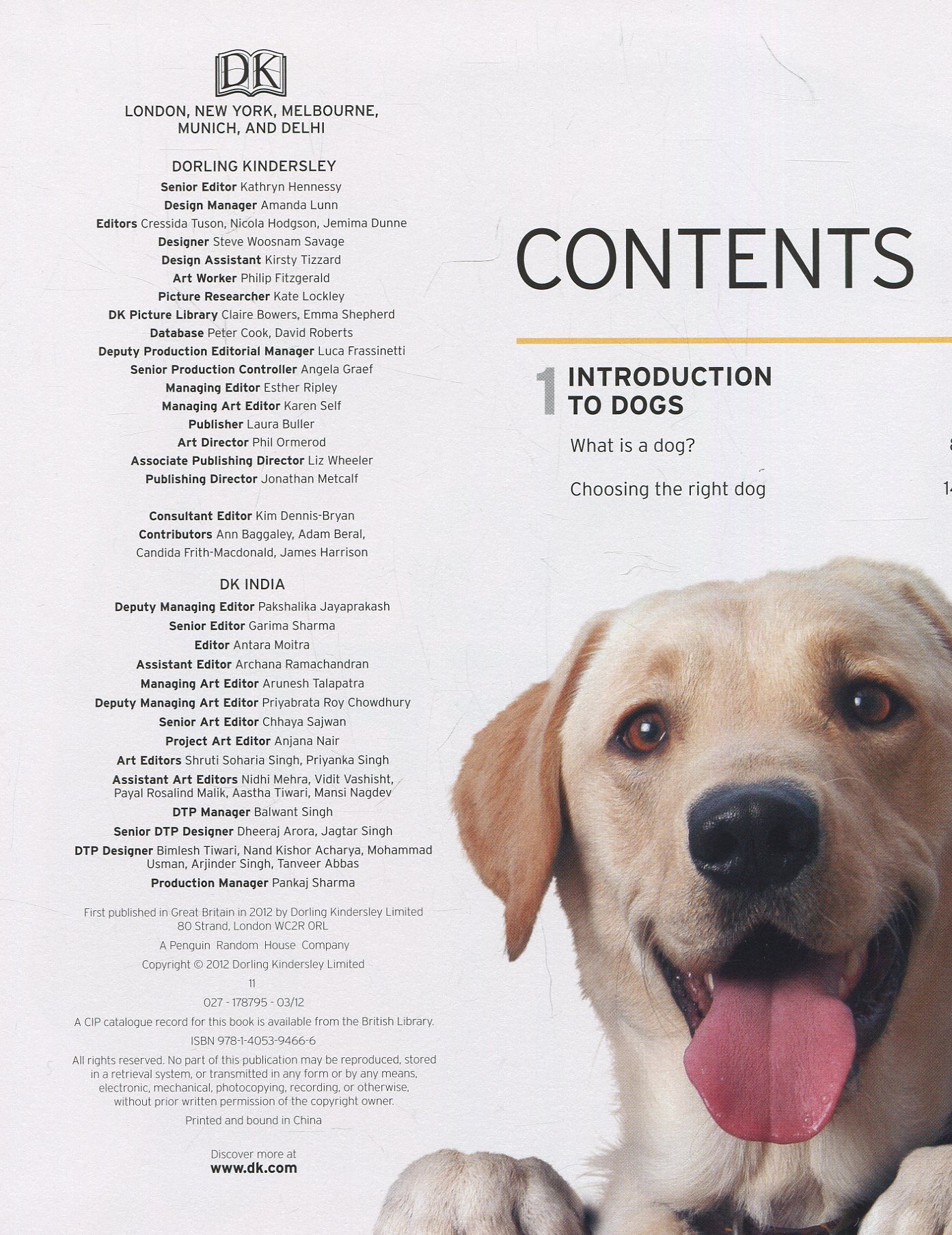 [object Object] «The Complete Dog Breed Guide» - фото №2 - мініатюра