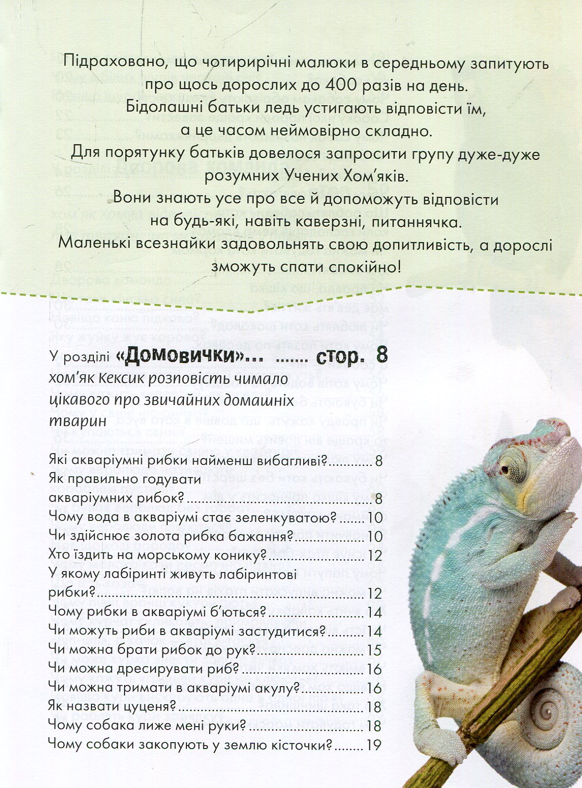 Домашні улюбленці — фото 3
