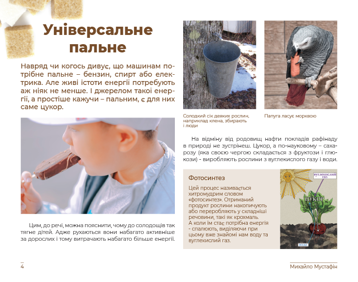 Цукор. Солодка (може, навіть занадто) історія — фото 3