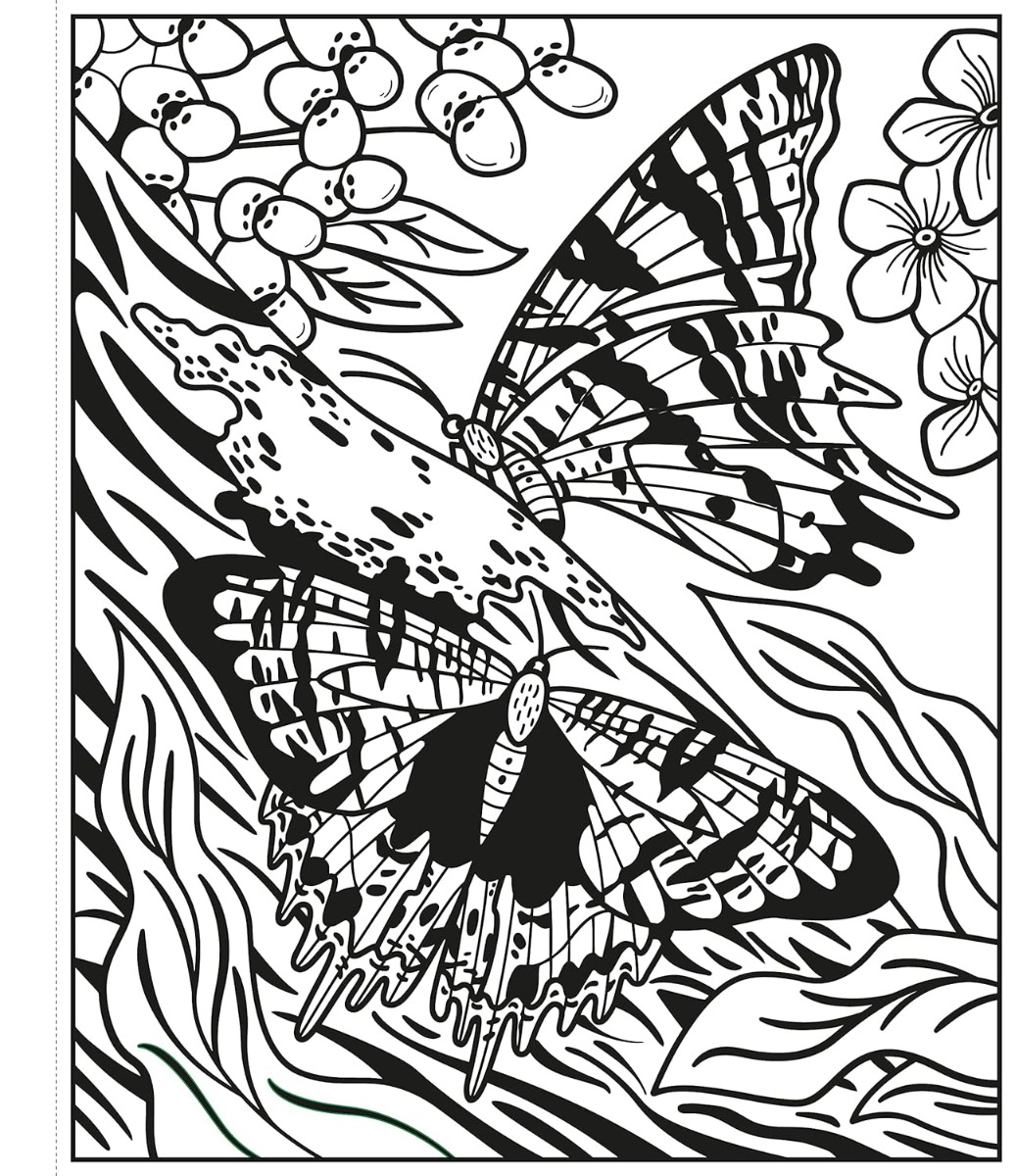 [object Object] «Butterflies. Magic Painting Book», автор Эбигейл Уитли - фото №2 - миниатюра