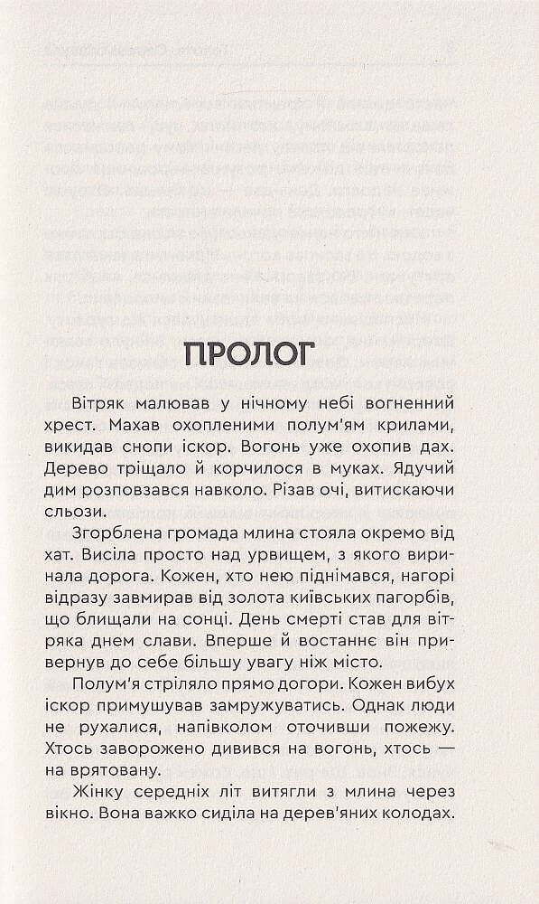 Голота. Справа осавула — фото 3