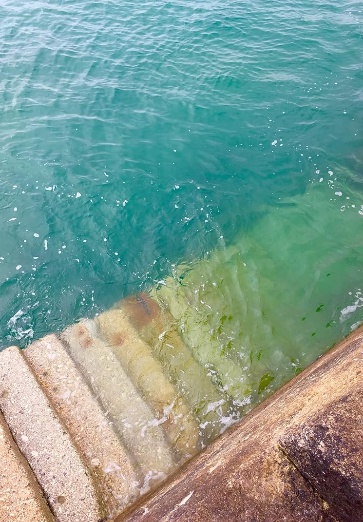[object Object] «Sea Soul Journal. A Guided Journey. Insights, Rituals and Mindful Practices to Connect with the Healing Power of the Ocean», автор Пиппа Бест - фото №2 - миниатюра