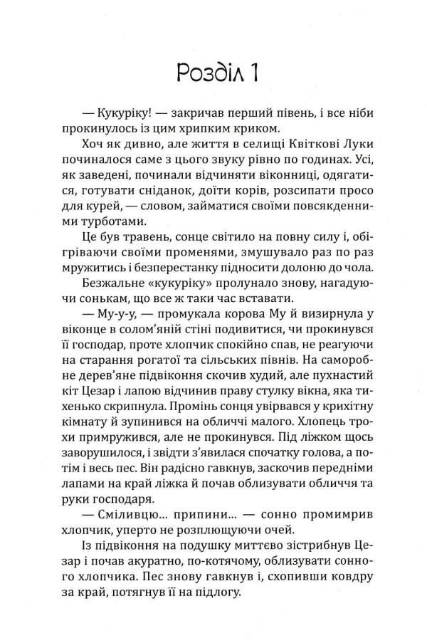 Елайджі у світі ельфів, або Алекса — мій ельф — фото 7