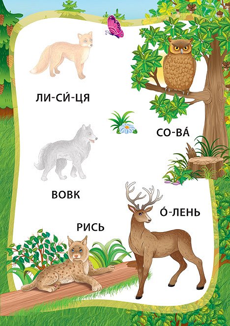 Пригоди в лісі. Книжка з наліпками — фото 3