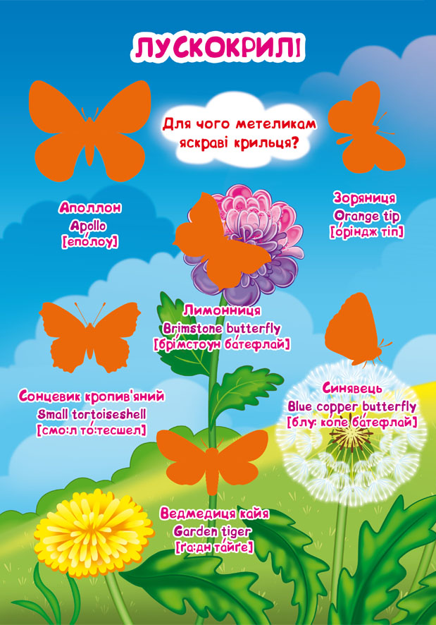 Велика книжка. Розвивальні наліпки. Розумні завдання. Комахи та павукоподібні — фото 8