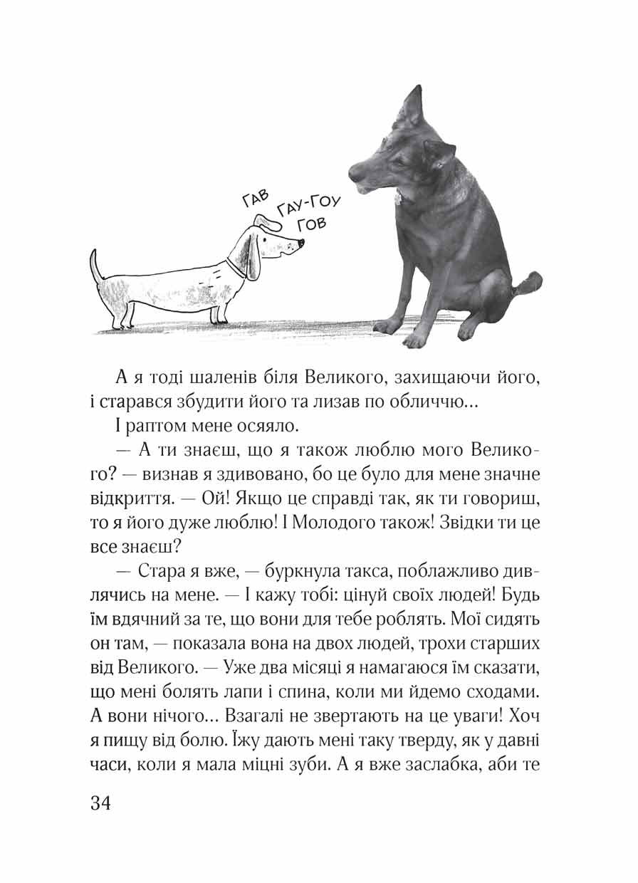 Ельф Всемогутній — фото 8