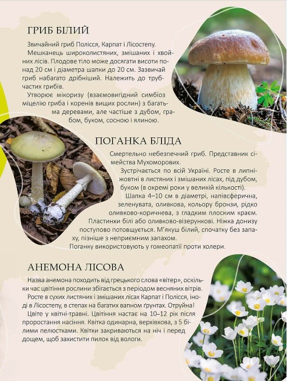 Перлини природи України — фото 2
