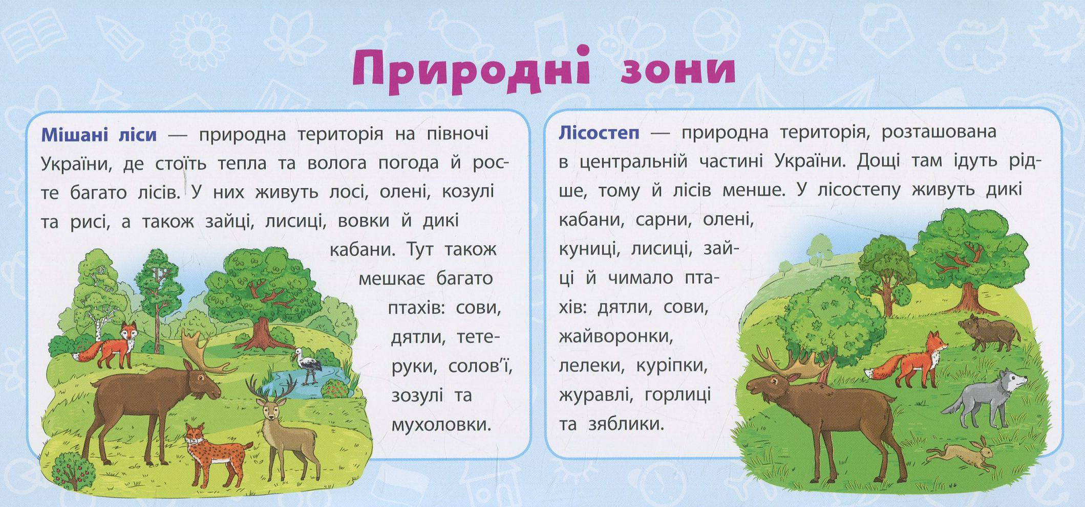 Я у світі. 3 клас — фото 3