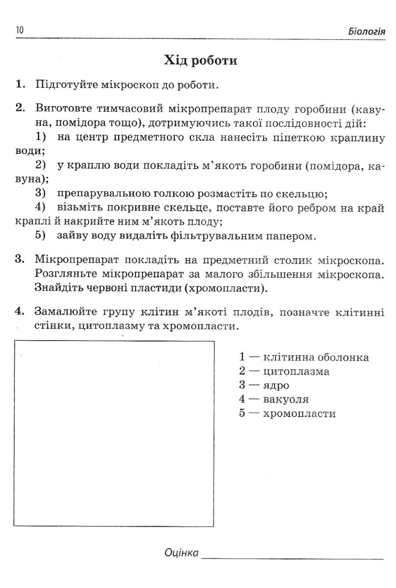 Біологія. 6 клас. Зошит для дослідницького практикуму, лабораторних досліджень і практичних робіт — фото 3