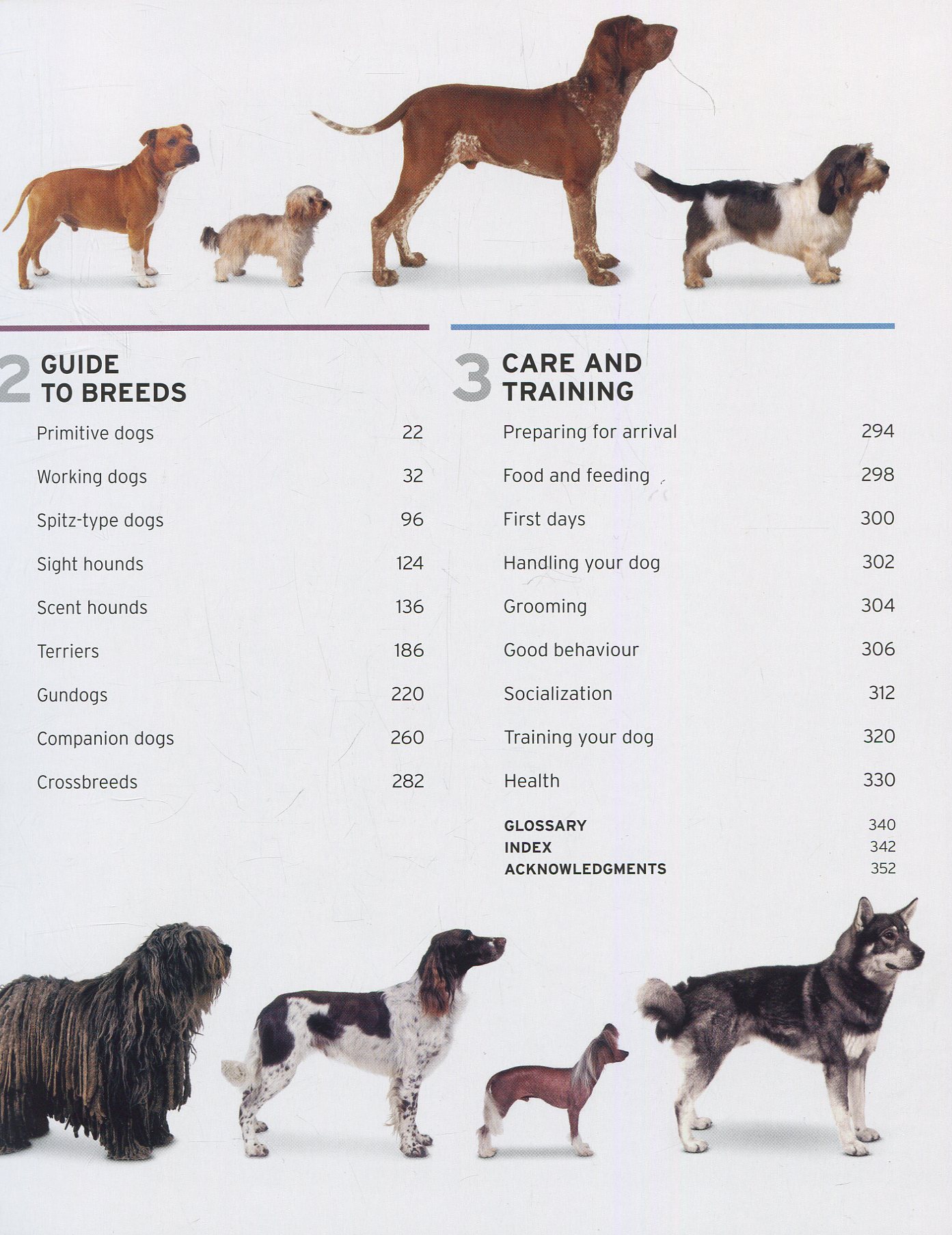 [object Object] «The Complete Dog Breed Guide» - фото №3 - мініатюра