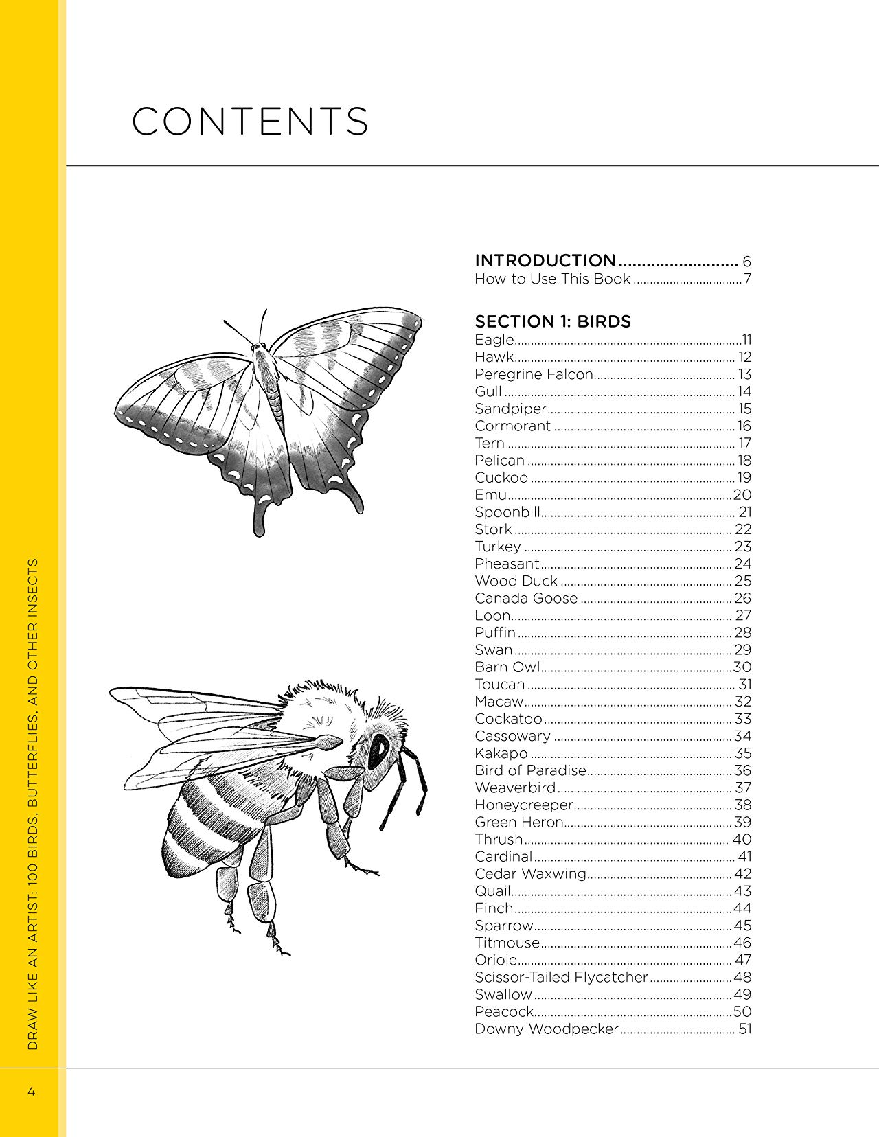 [object Object] «Draw Like an Artist. 100 Birds, Butterflies, and Other Insects. Step-by-Step Realistic Line Drawing — A Sourcebook for Aspiring Artists and Designers», автор Мелисса Уошберн - фото №2 - миниатюра