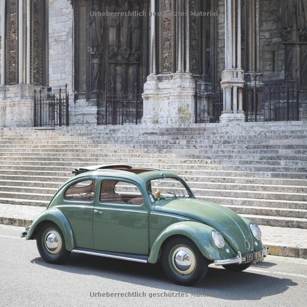 [object Object] «Beetle Love», автор Торстен Брінкманн - фото №2 - мініатюра