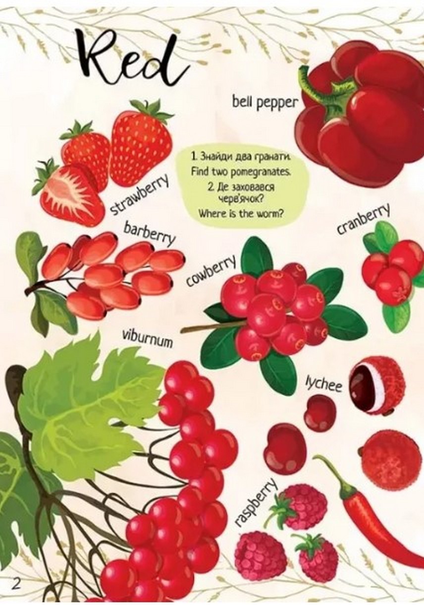 [object Object] «Мої улюблені фрукти та овочі / My favorite vegetables and fruits» - фото №2 - мініатюра
