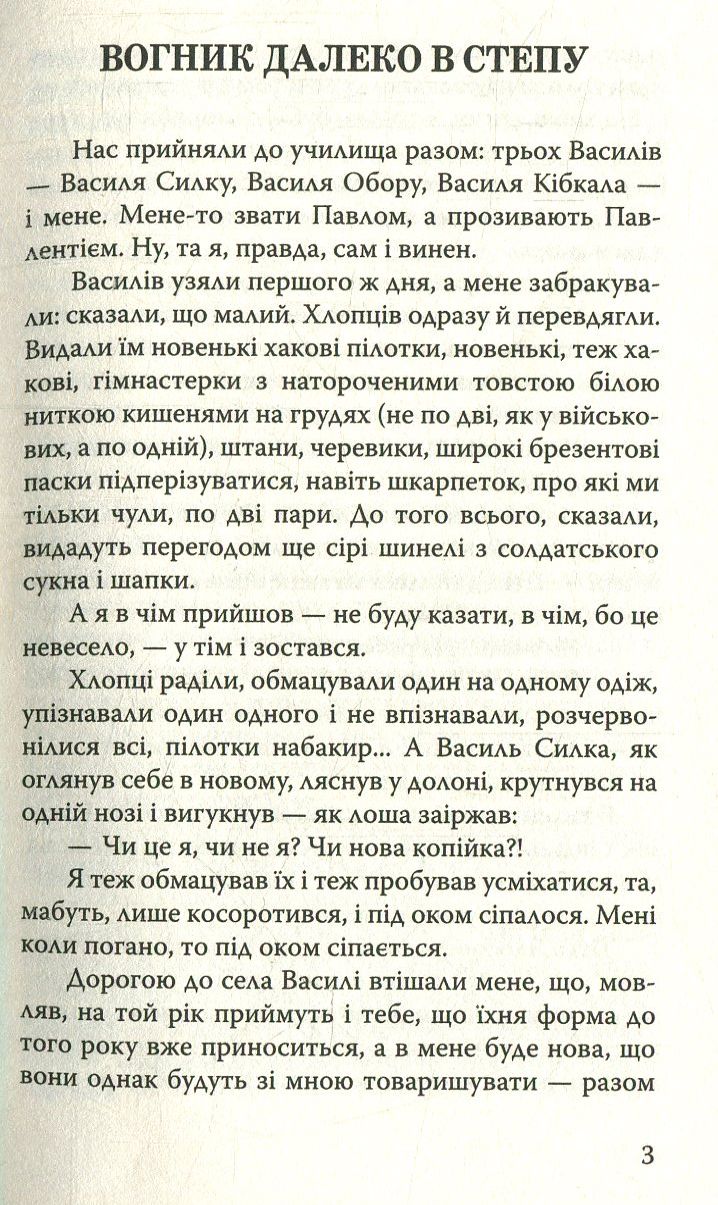 Вогник далеко в степу — фото 5
