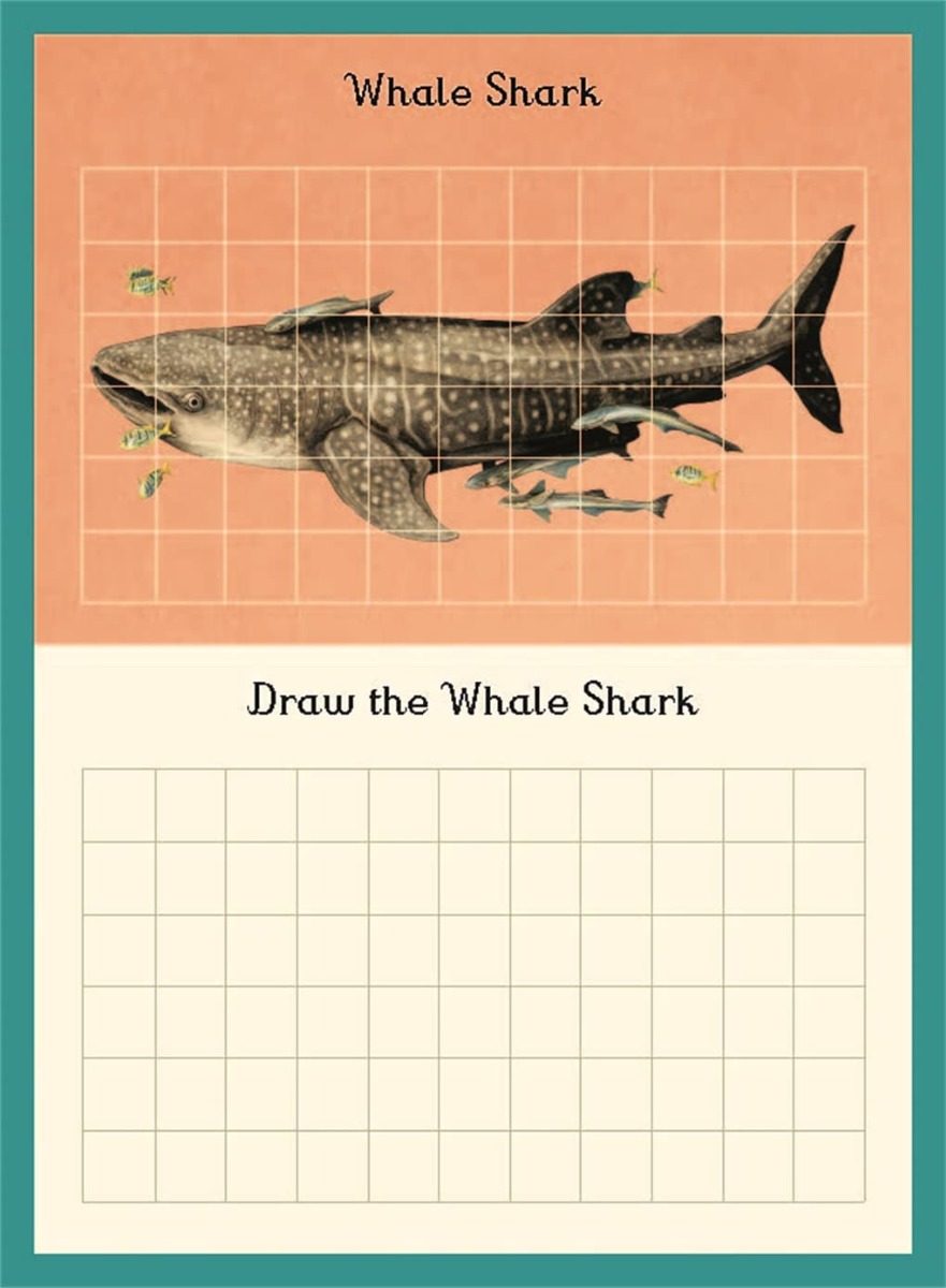 [object Object] «Oceanarium Activity Book», автор Лавдэй Триник - фото №2 - миниатюра