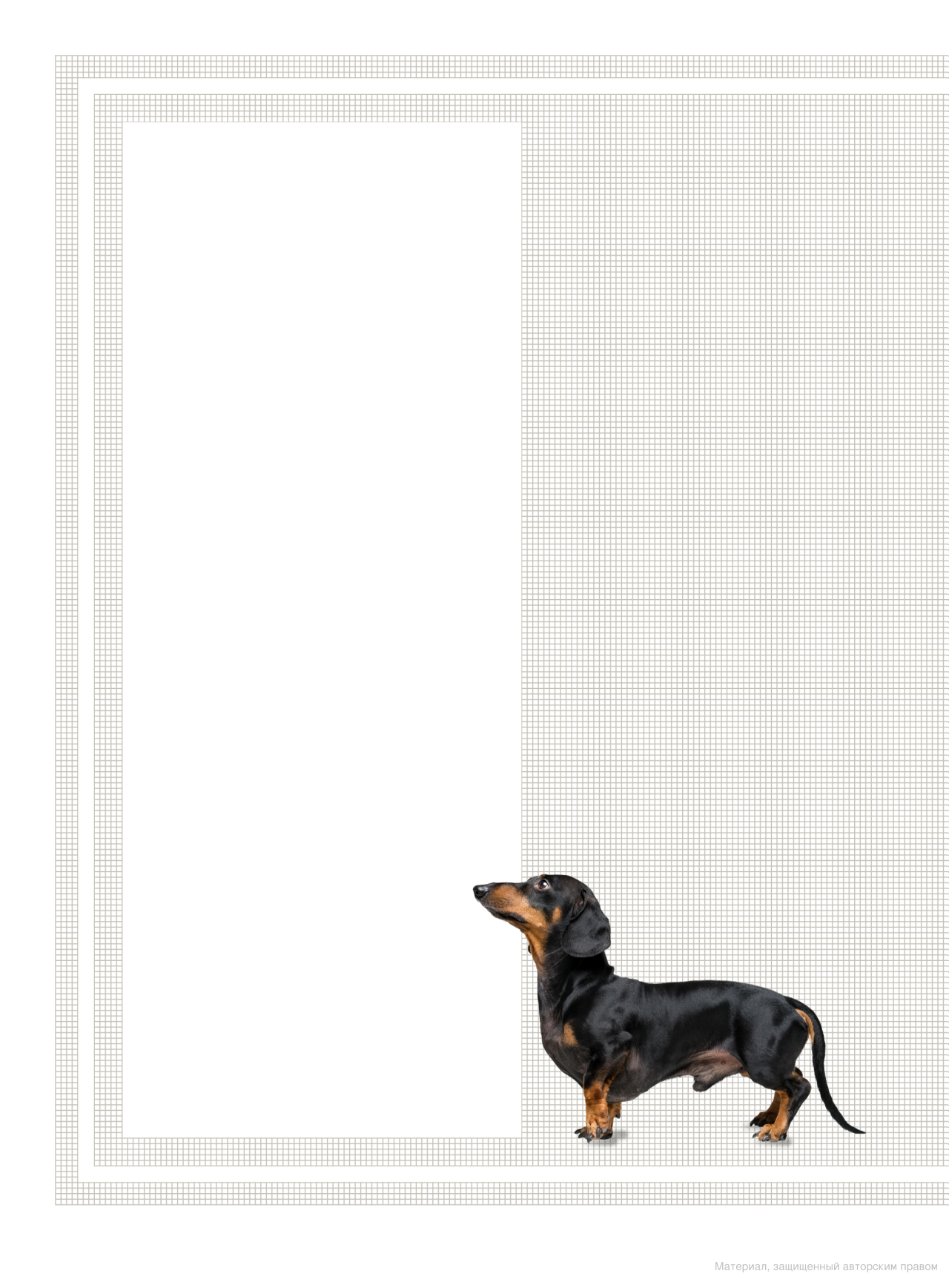 [object Object] «The Right Dog for You. How to choose the perfect breed for you and your family», автор Девід Олдертон - фото №2 - мініатюра