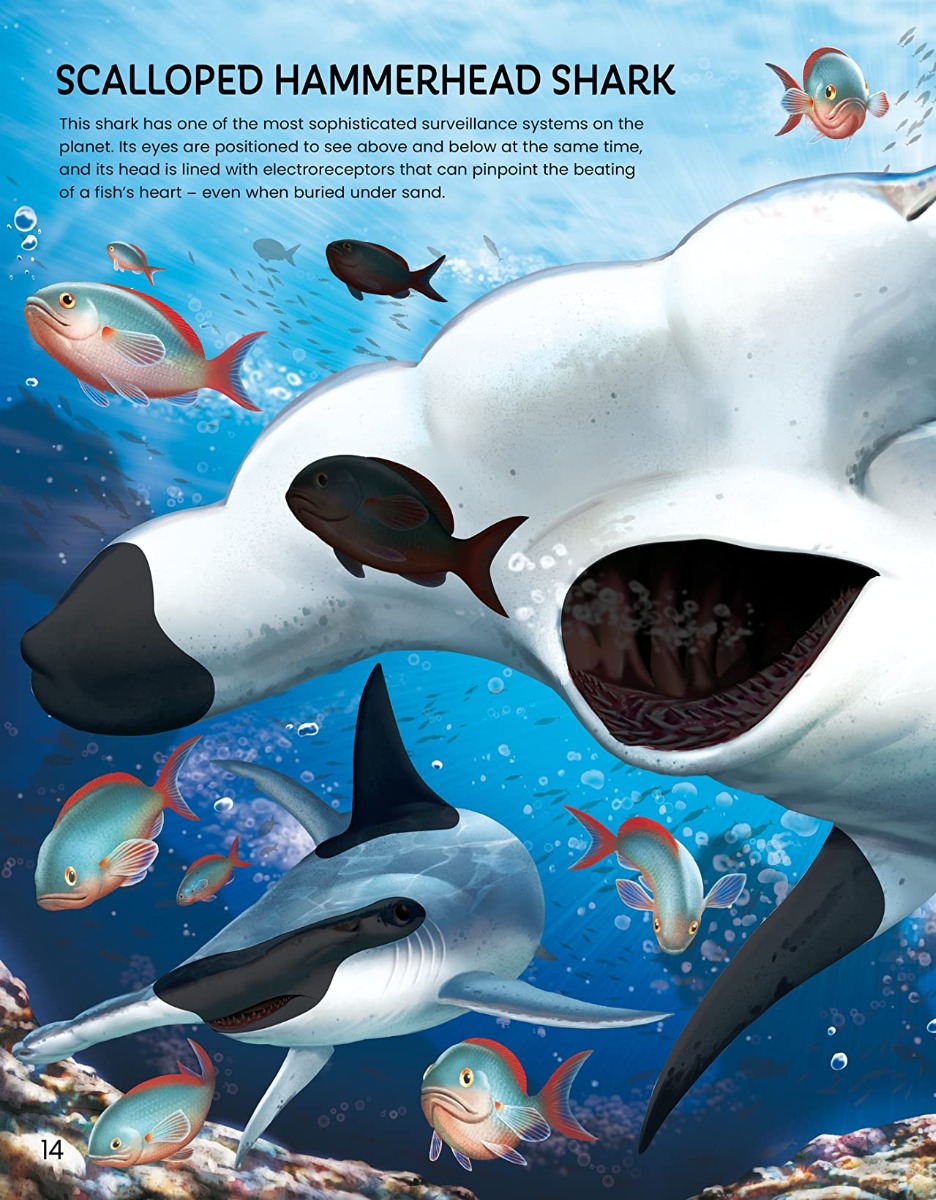 [object Object] «Build Your Own Sea Creatures. Sticker Book», автор Саймон Тадхоуп - фото №2 - миниатюра