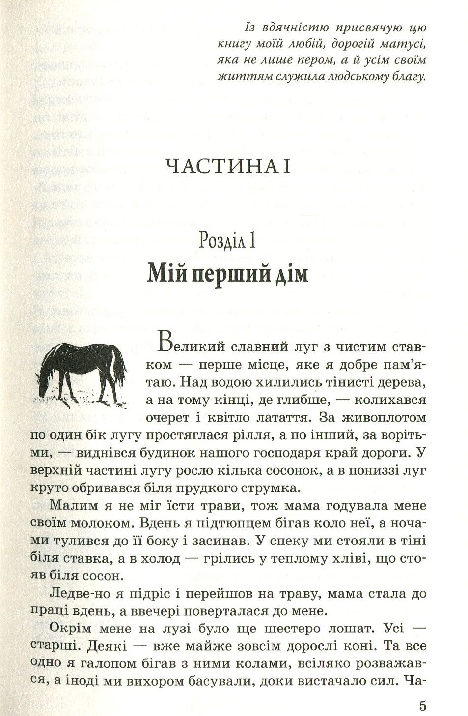 Чорний Красень — фото 3