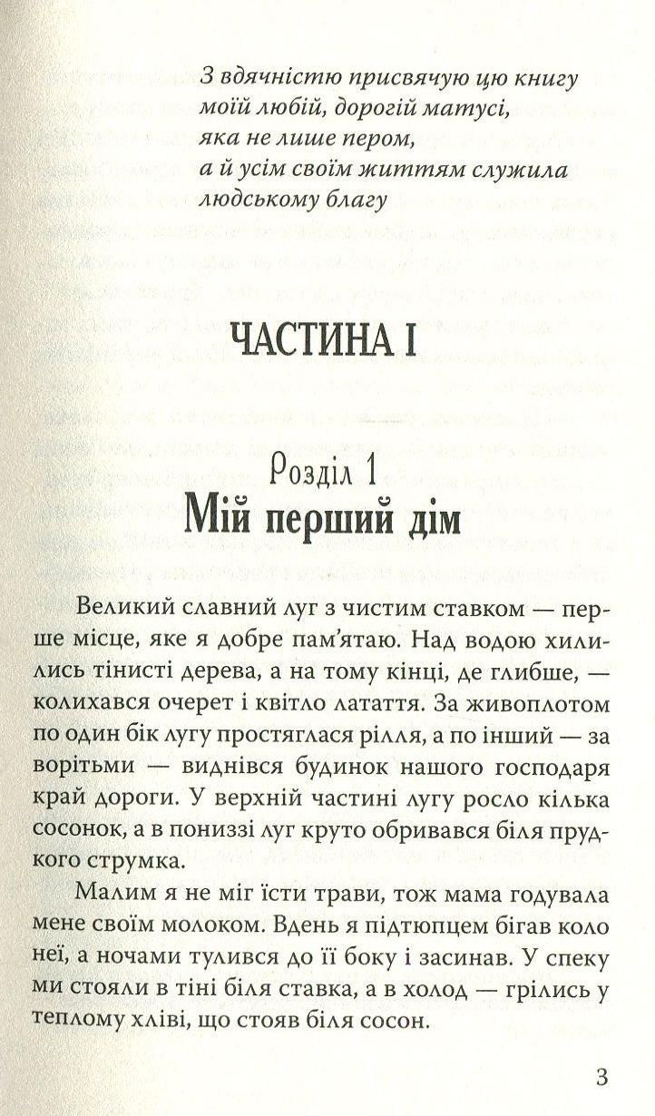 Чорний Красень — фото 3