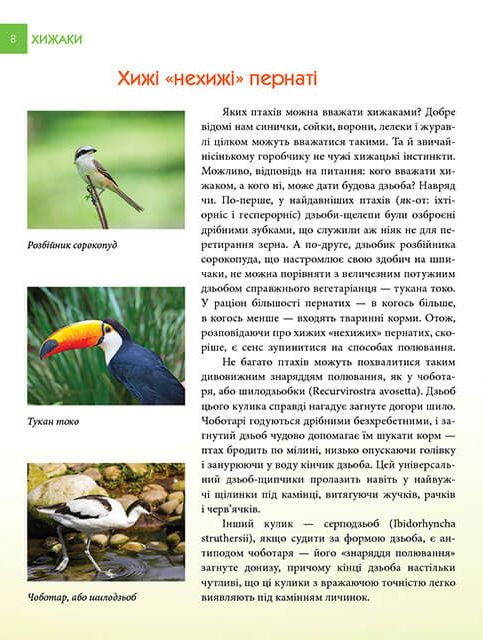 Енциклопедія для допитливих. Хижаки — фото 3