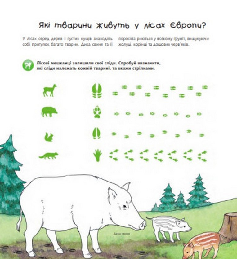 [object Object] «Чому? Чого? Навіщо? Тварини світу. Інтерактивна книжка. 4-7 років» - фото №2 - миниатюра