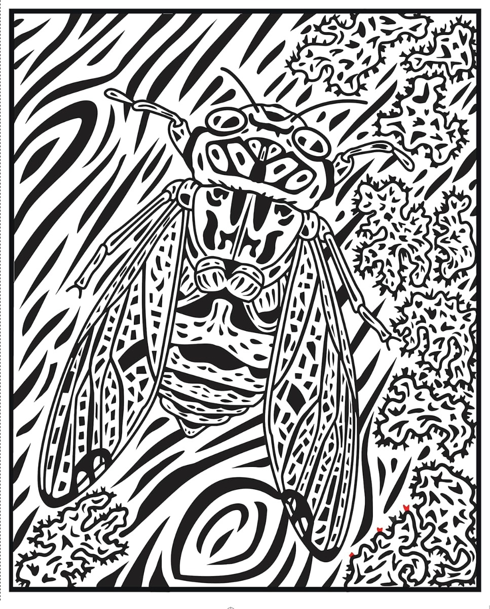 [object Object] «Bugs. Magic Painting Book», автор Эбигейл Уитли - фото №3 - миниатюра