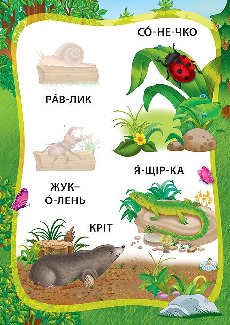 Пригоди в лісі. Книжка з наліпками — фото 4