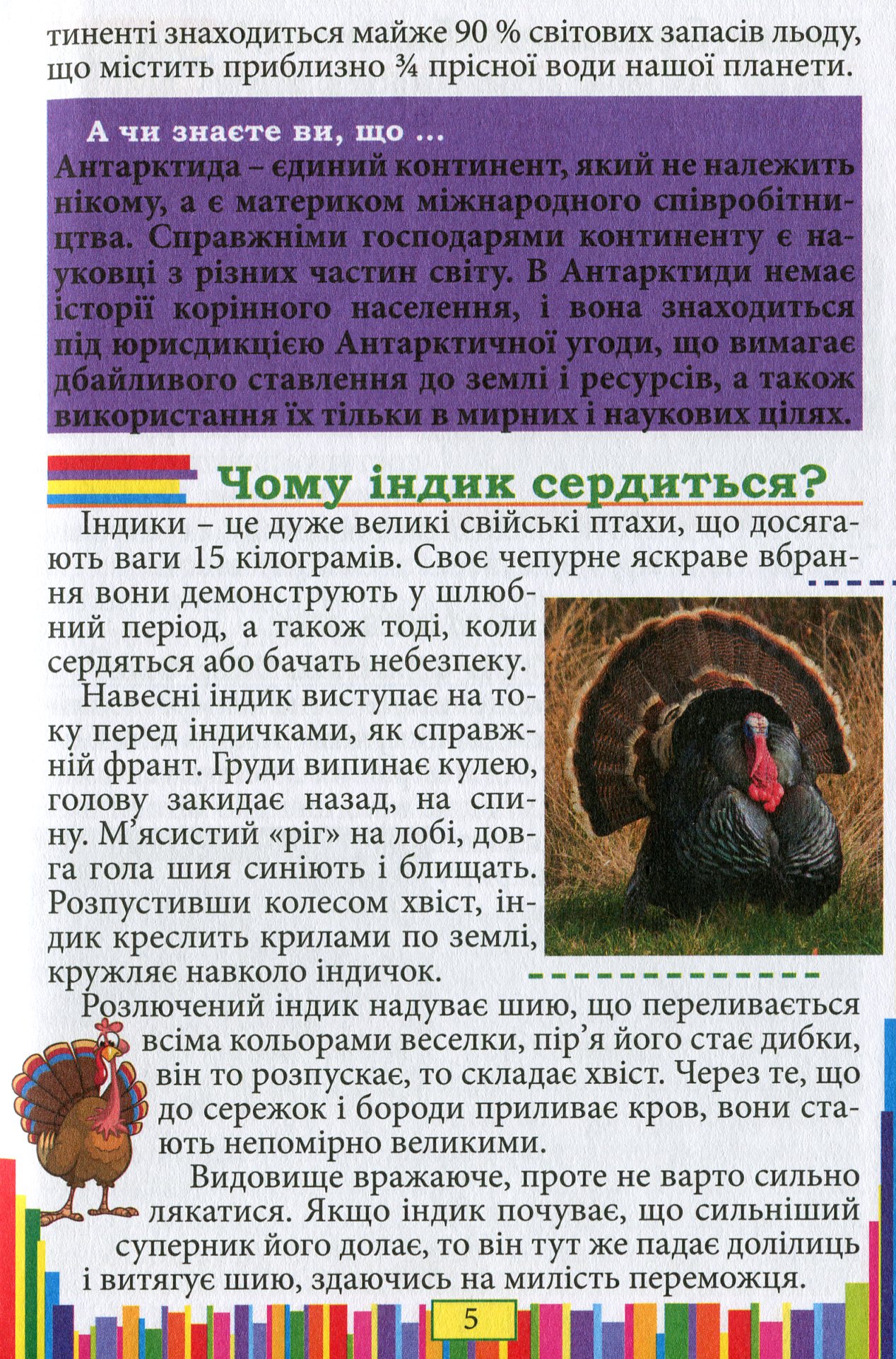 Чомучка — фото 6