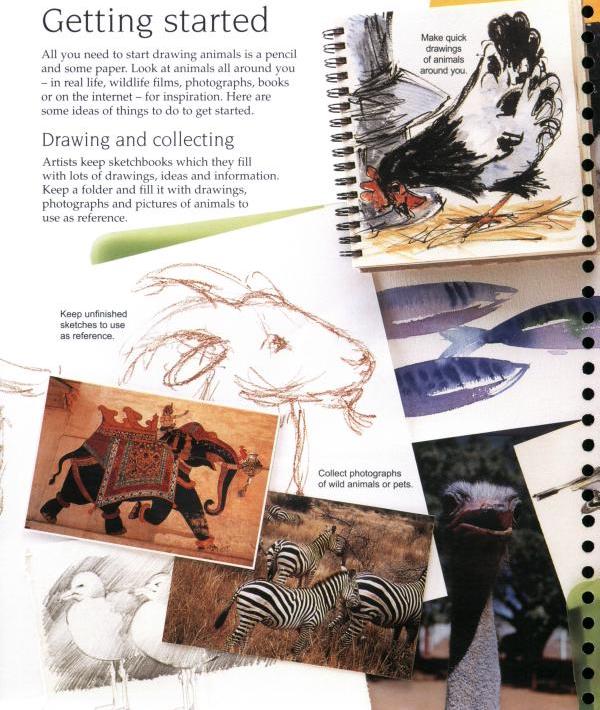 [object Object] «Usborne Art Ideas. Drawing Animals», автор Анна Милборн - фото №3 - миниатюра