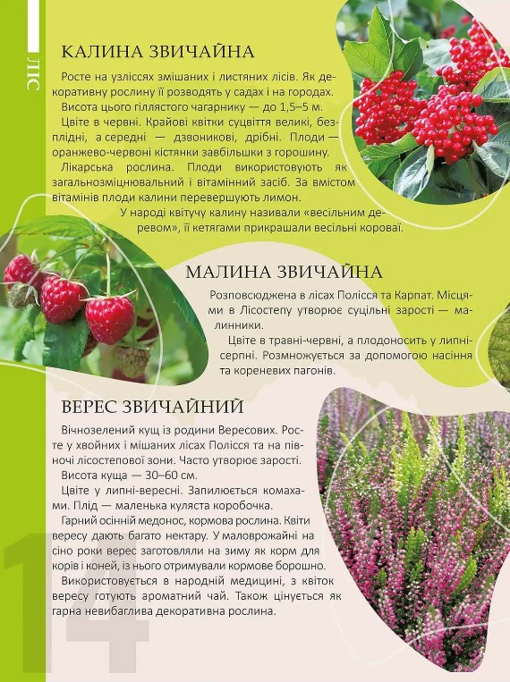 Перлини природи України — фото 3