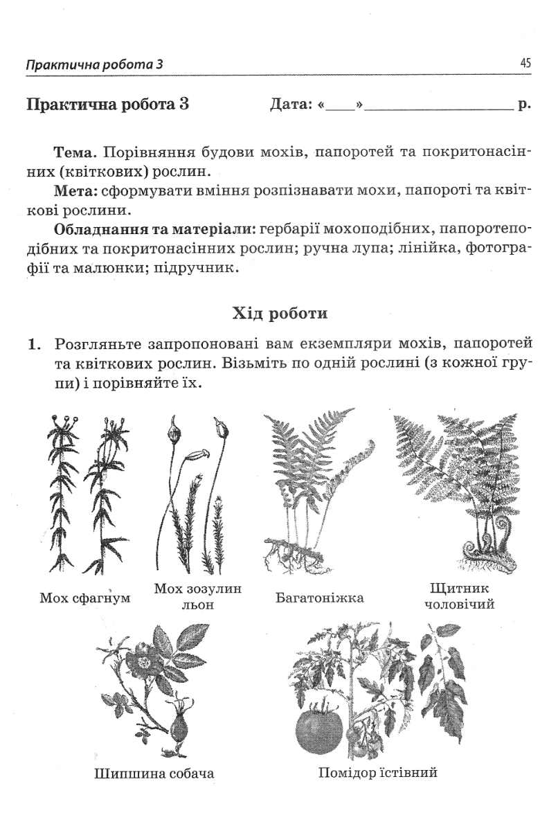 Біологія. 6 клас. Зошит для дослідницького практикуму, лабораторних досліджень і практичних робіт — фото 4