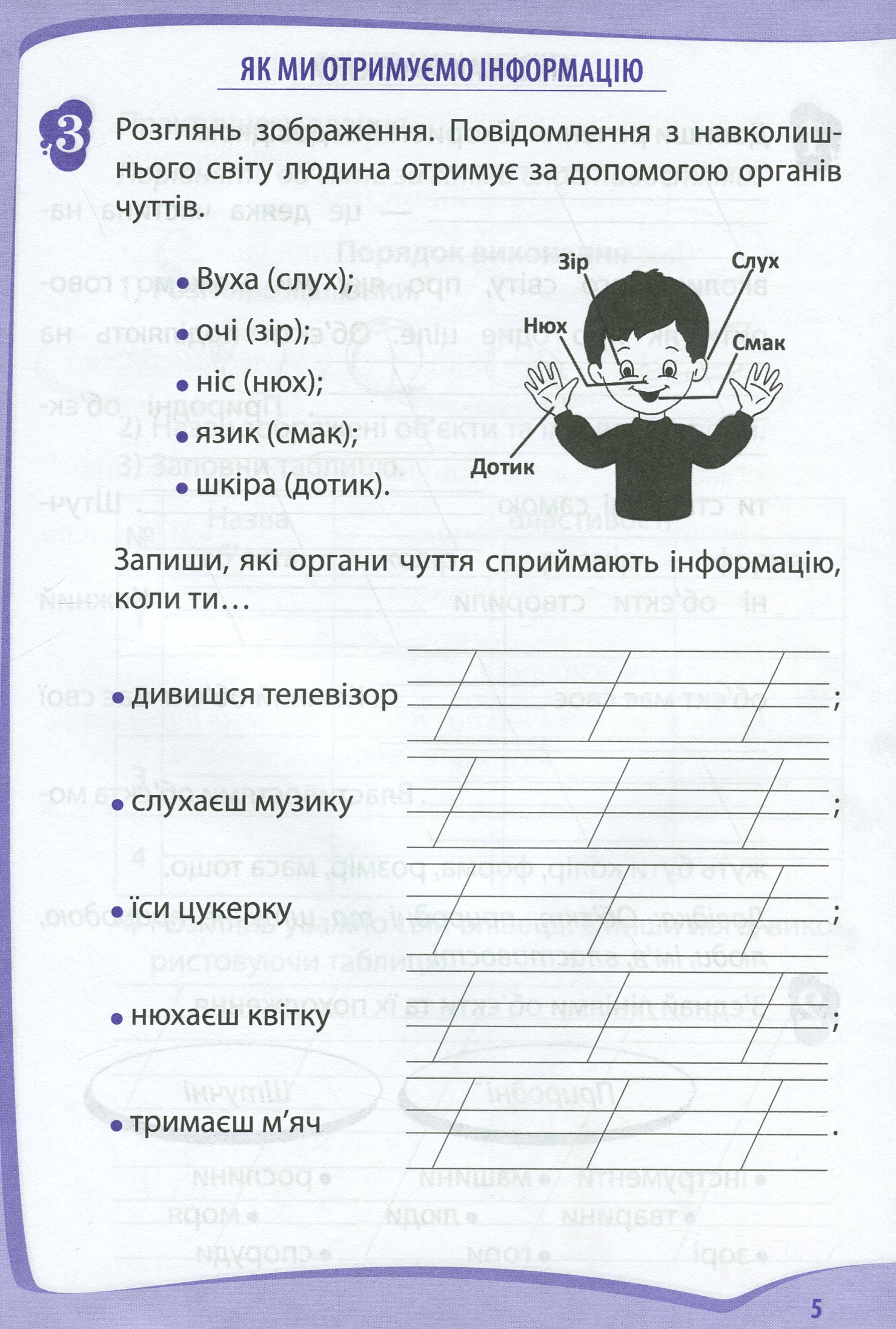Я досліджую світ. 2 клас. Робочий зошит у 2-х частинах. Ч.2 — фото 4