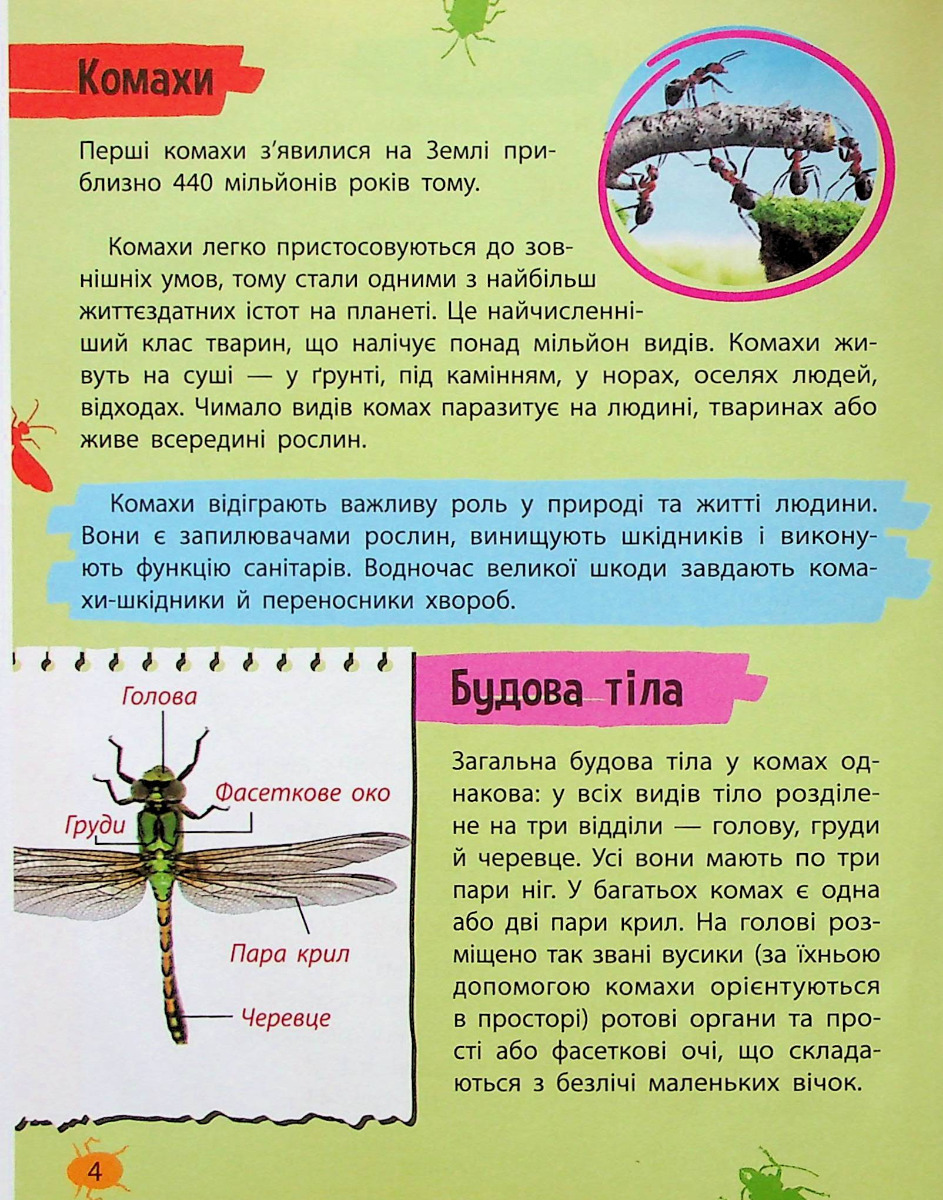 Мініенциклопедія. Комахи та павуки — фото 4
