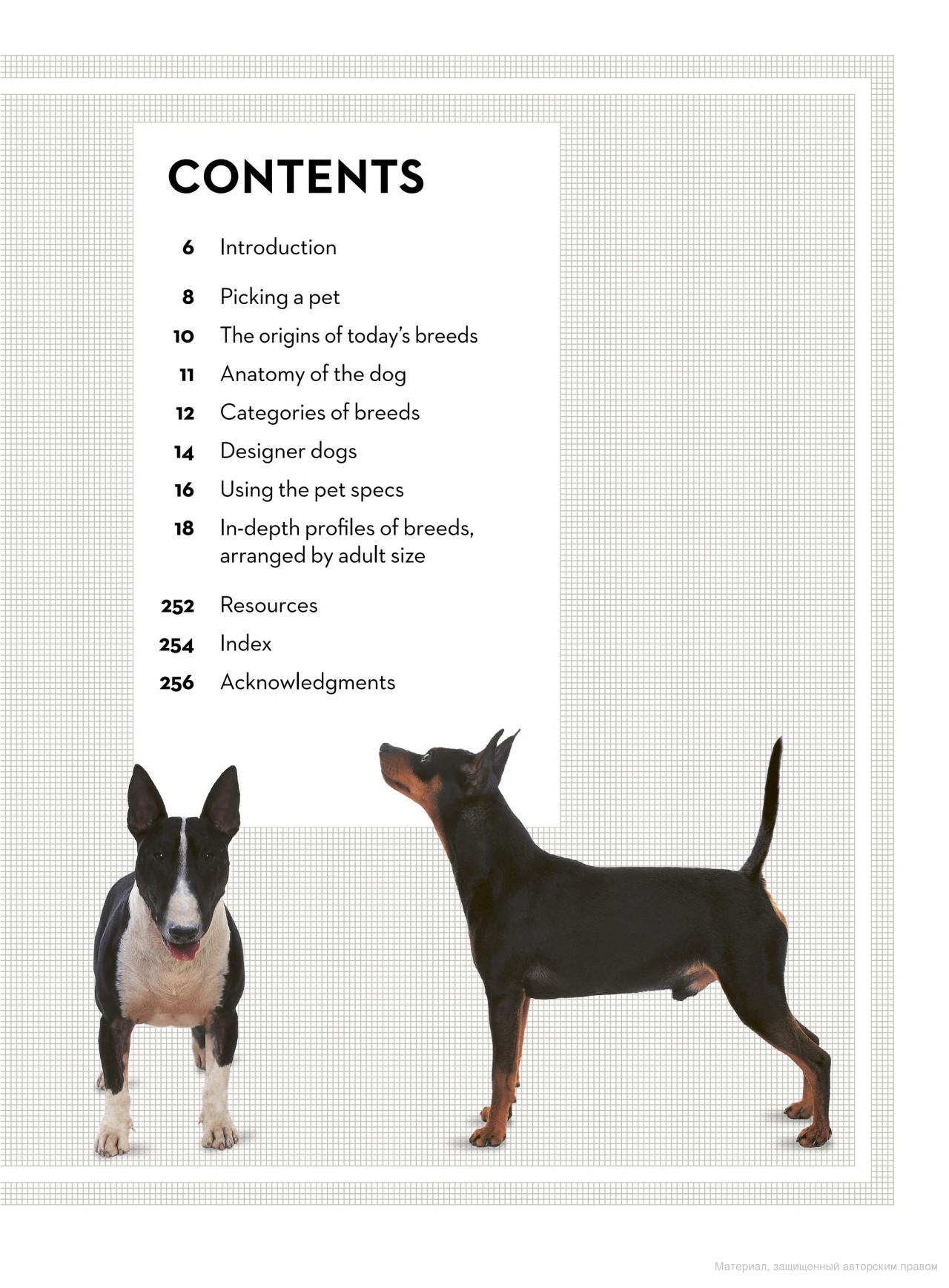 [object Object] «The Right Dog for You. How to choose the perfect breed for you and your family», автор Девід Олдертон - фото №3 - мініатюра