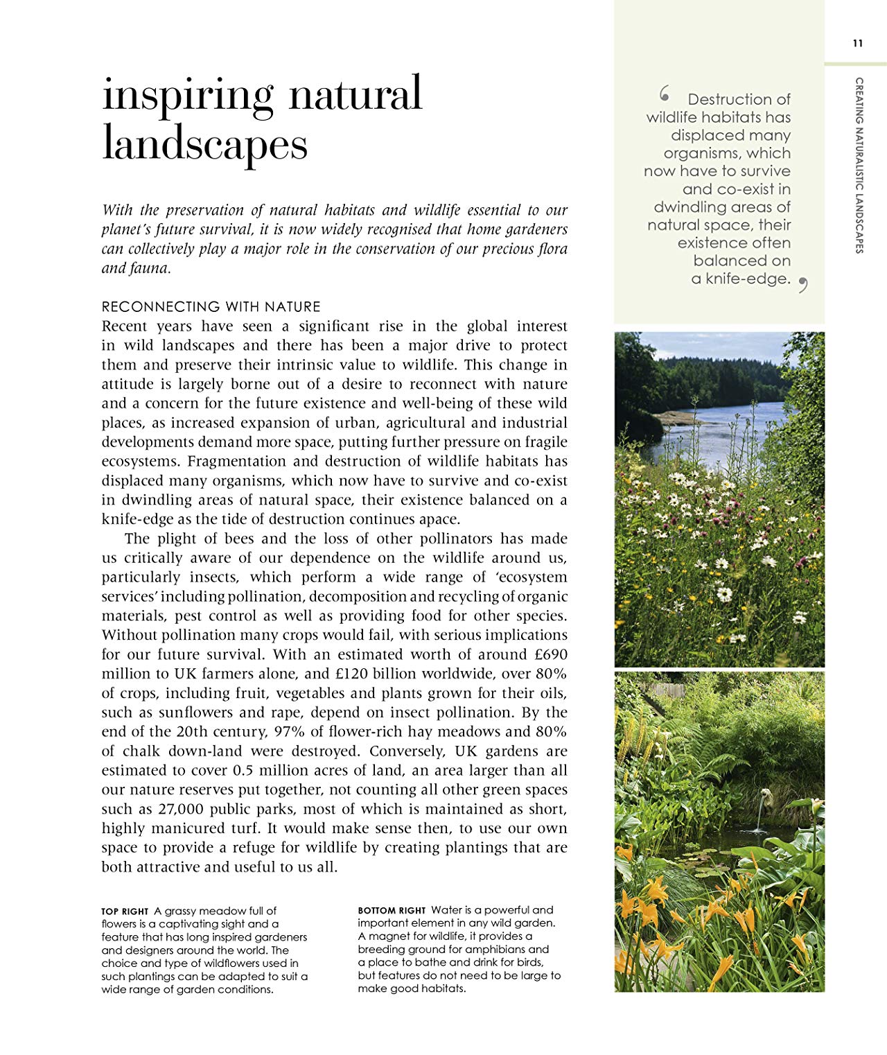 [object Object] «New Wild Garden. Natural-style planting and practicalities», автор Иэн Ходжсон - фото №3 - миниатюра