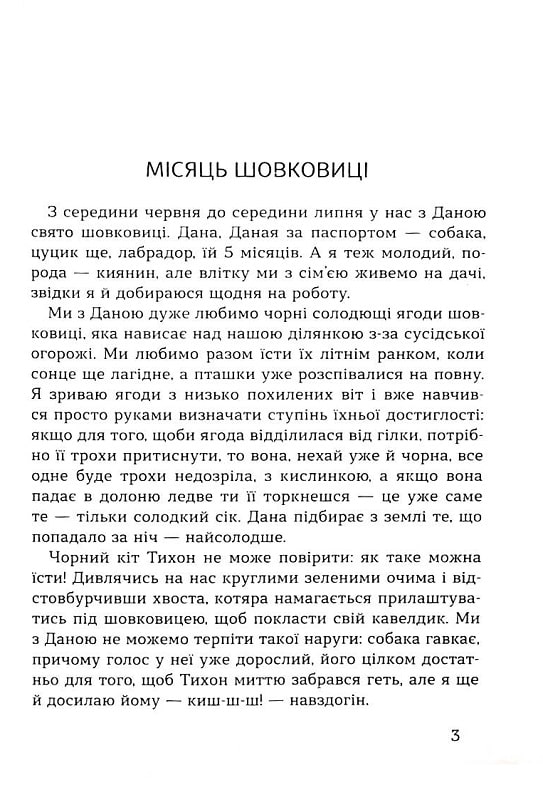 Машина життя. Вінок оповідань про Київ та киян — фото 4