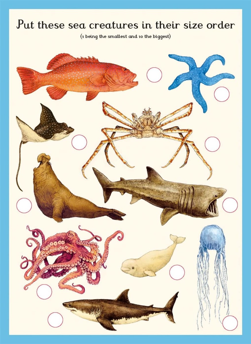 [object Object] «Oceanarium Activity Book», автор Лавдэй Триник - фото №3 - миниатюра